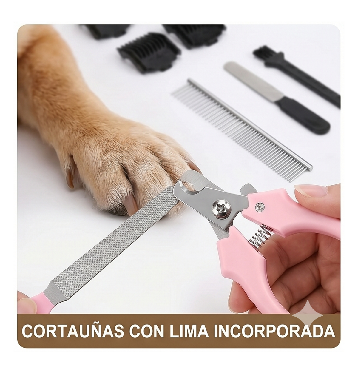 🐶✂️ KIT PROFESIONAL DE PELUQUERÍA PARA MASCOTAS ✂️🐱