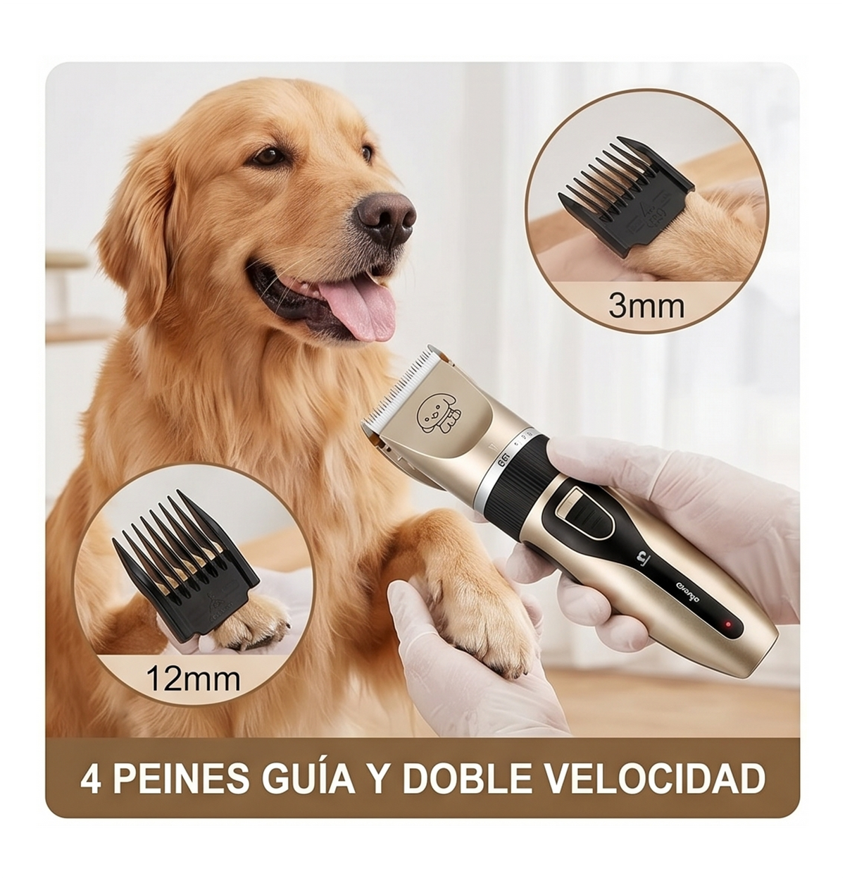 🐶✂️ KIT PROFESIONAL DE PELUQUERÍA PARA MASCOTAS ✂️🐱